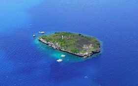 Parrot Resort Moalboal
